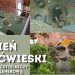 Dzień Jaćwieski w Gołdapi 9 Piknik Jaćwieski Gołdap