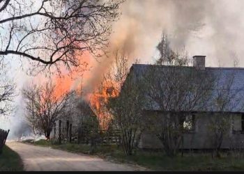 foto: Podlaska Straż Graniczna
