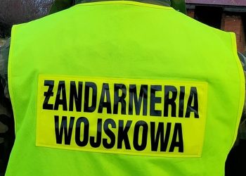 zdjęcie ilustracyjne