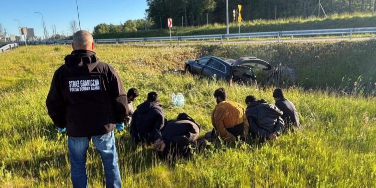 Weekendowe zatrzymania na granicy polsko-litewskiej 1 źródło: POSG