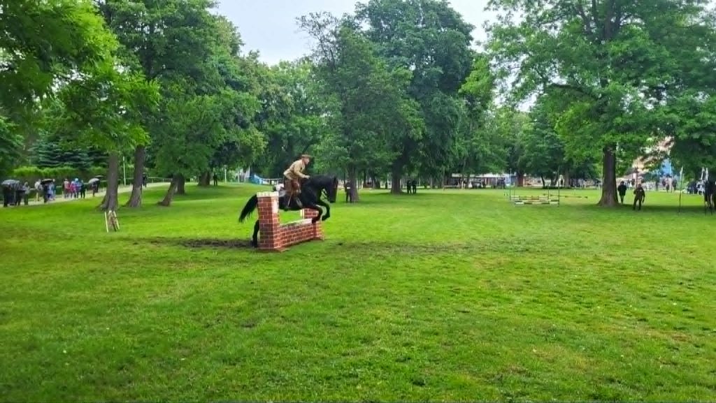 Rozpoczął się XXV, jubileuszowy, Piknik Kawaleryjski 8 2