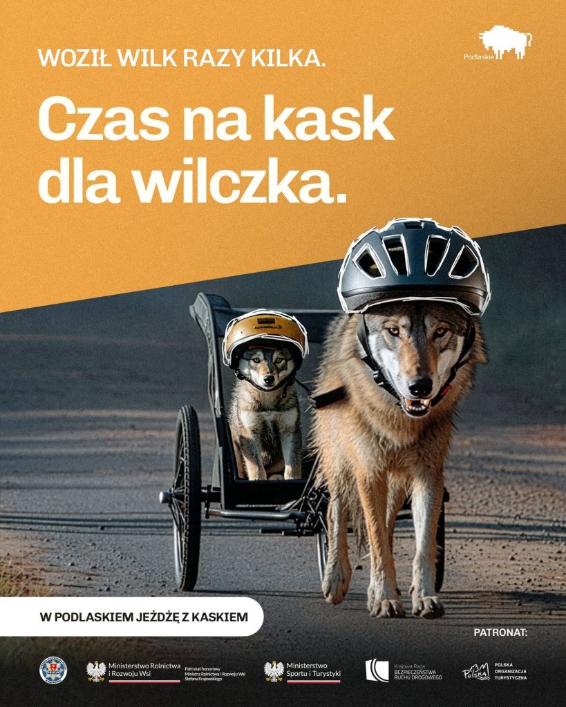 "Czapki z głów, kaski w ruch!" 2 719813031 974373488799528 5510520826113570892 n