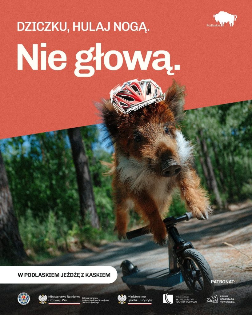 "Czapki z głów, kaski w ruch!" 6 720814558 974374558799421 3630198654641773650 n