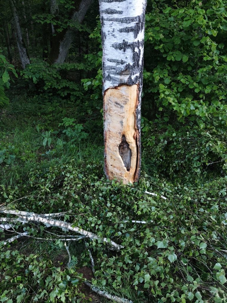 Stracił panowanie nad samochodem 2 721135898 1607364178057934 6714397093019417639 n