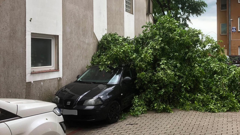 Kilkadziesiąt strażackich interwencji po ulewie w Ełku 4 po burzy 12