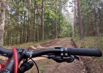 Kolarze przejadą przez Ełk 4 rower las wyprawa rowerowa