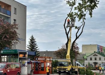 W trosce o bezpieczeństwo usunęli drzewo 2 wycinka drzewa noniewicza 28 1024x768 1