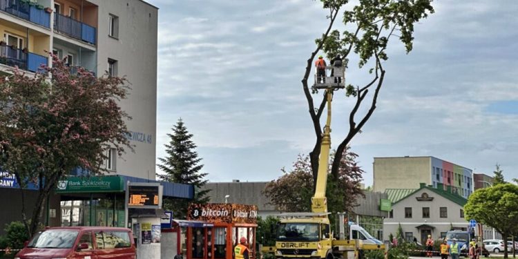 W trosce o bezpieczeństwo usunęli drzewo 1 wycinka drzewa noniewicza 28 1024x768 1