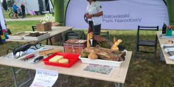 „Łączy nas krajobraz”. Piknik Podlaskich Parków w Suwałkach 17 06441138 0025 4d86 aeb1 046d77f5745a