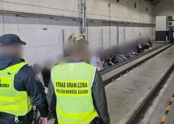 27 cudzoziemców w naczepie ciężarówki. Zatrzymano kierowcę 2 źródło: KAS