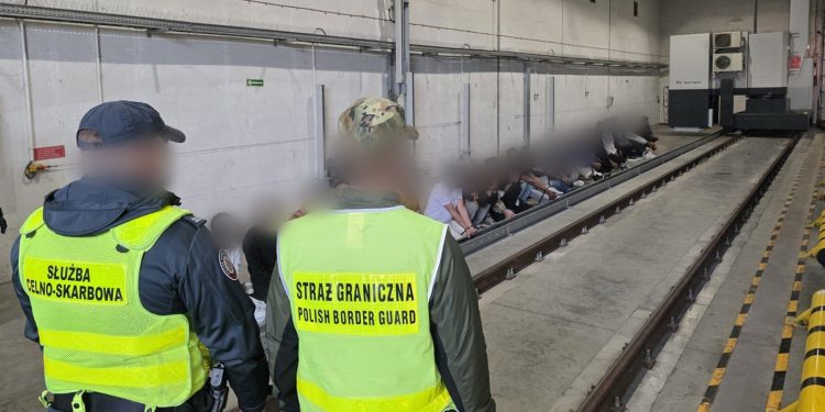 27 cudzoziemców w naczepie ciężarówki. Zatrzymano kierowcę 1 źródło: KAS