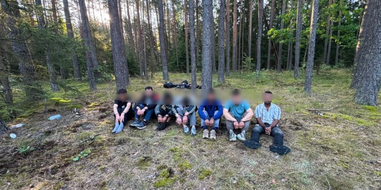 źródło: POSG