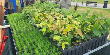 „Łączy nas krajobraz”. Piknik Podlaskich Parków w Suwałkach 29 518597ce f1bc 46aa 9349 5c052ed0f782