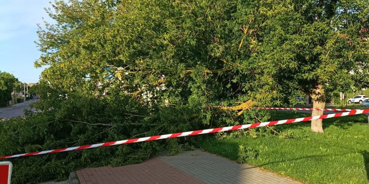 źródło: ZDiZ