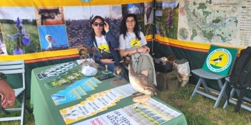 „Łączy nas krajobraz”. Piknik Podlaskich Parków w Suwałkach 10 8355037a c0f3 40d6 a2a8 d9a55aee2ddb