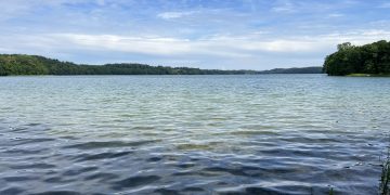 Pierwszy fragment sieci widmo wydobyty z Hańczy 3 Hancza siec widmo8