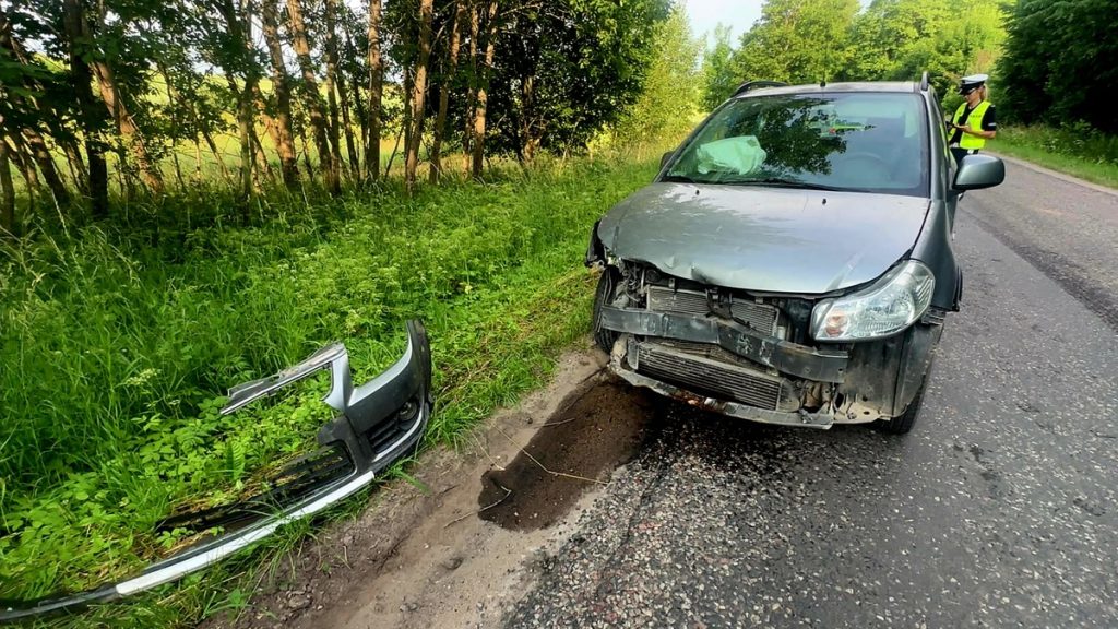 Dzik wbiegł na drogę. Doszło do kolizji 1 dzik