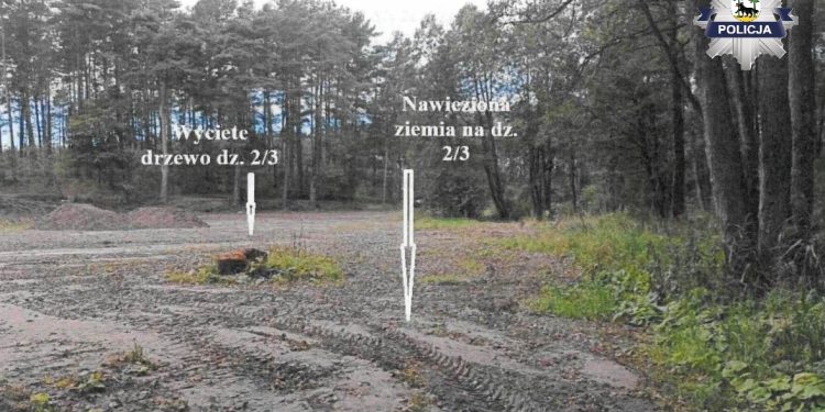 63-latek odpowie za naruszenie linii brzegowej jeziora 1 jezior