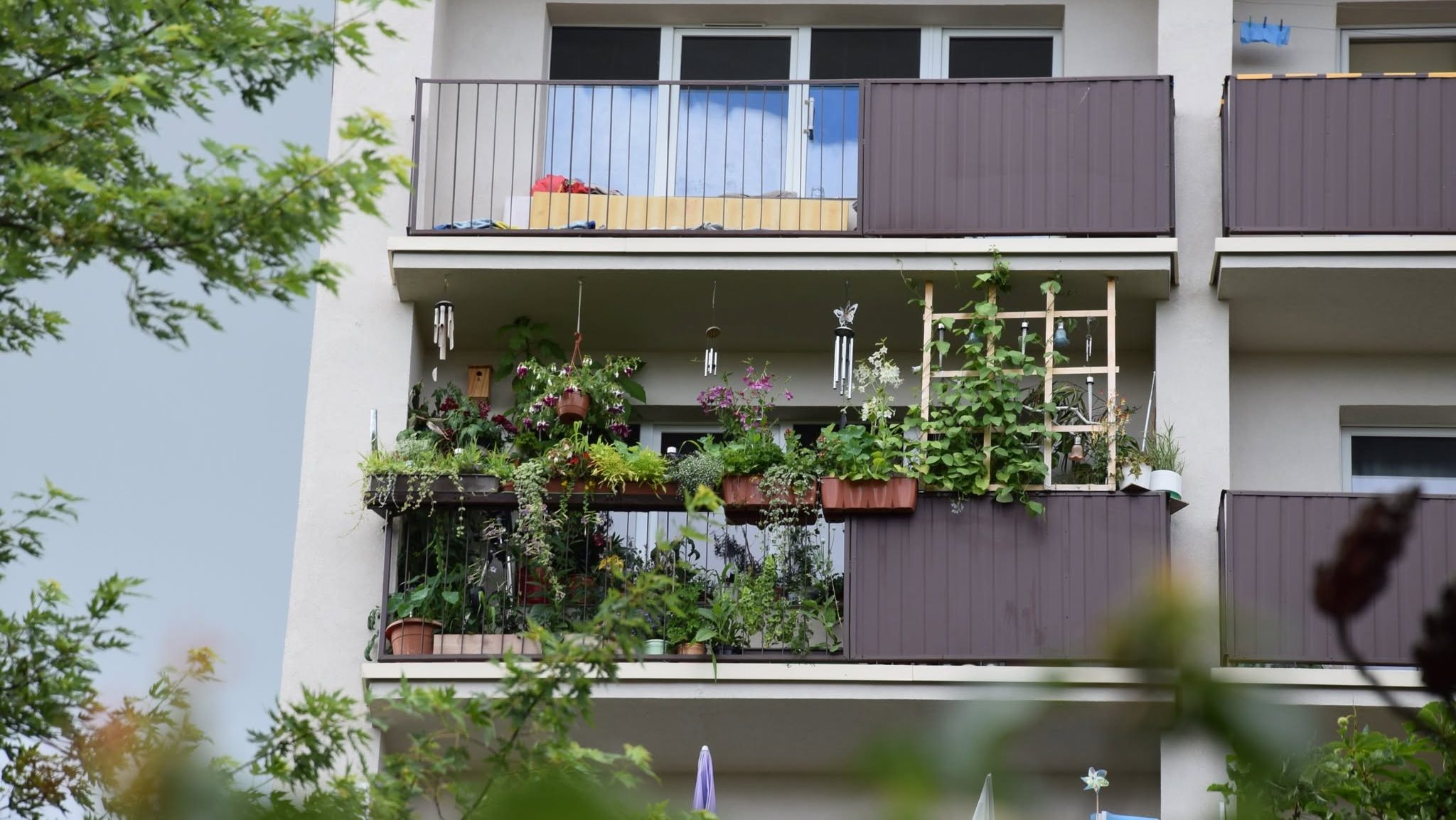 Najpiękniejsze ogrody i kwieciste balkony w Suwałkach 2 laureaci 1 e1785151166455