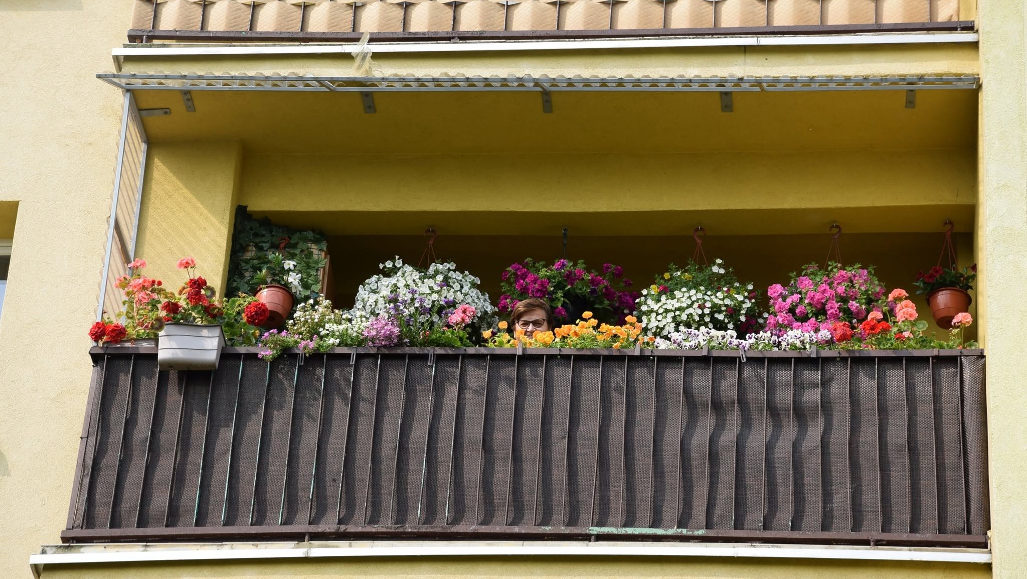 Najpiękniejsze ogrody i kwieciste balkony w Suwałkach 7 laureaci 13 e1785151003821