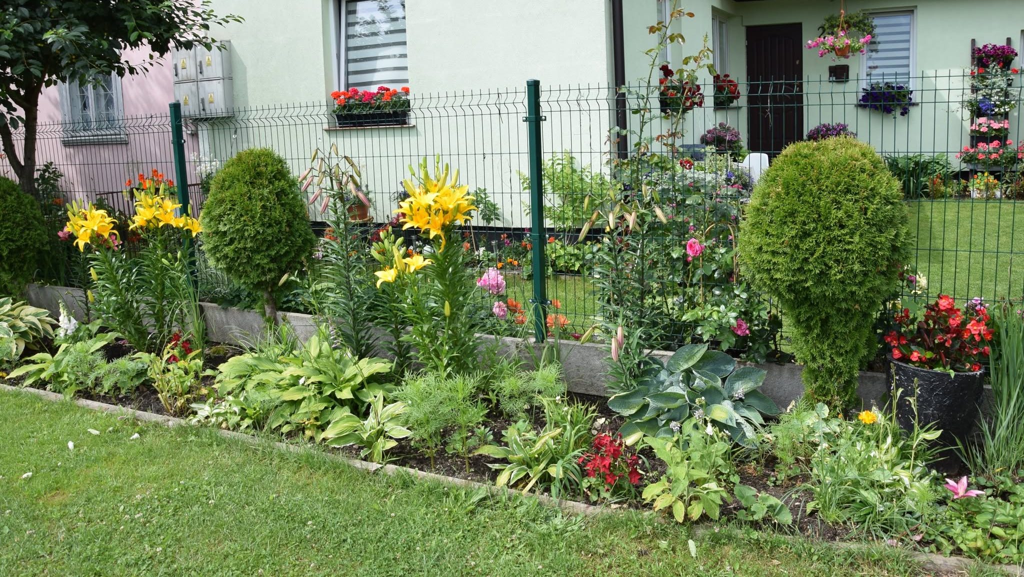 Najpiękniejsze ogrody i kwieciste balkony w Suwałkach 12 laureaci 4 e1785151130184