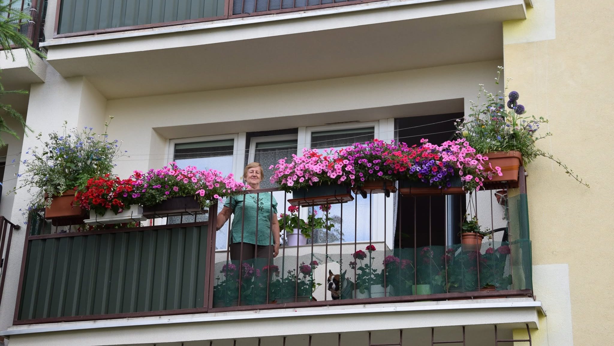 Najpiękniejsze ogrody i kwieciste balkony w Suwałkach 13 laureaci 5 e1785151119822