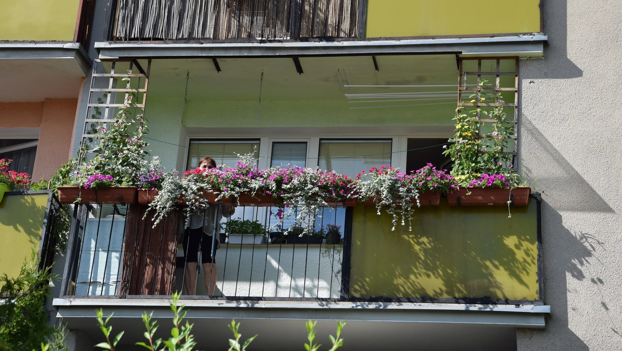 Najpiękniejsze ogrody i kwieciste balkony w Suwałkach 15 laureaci 7 e1785151096552