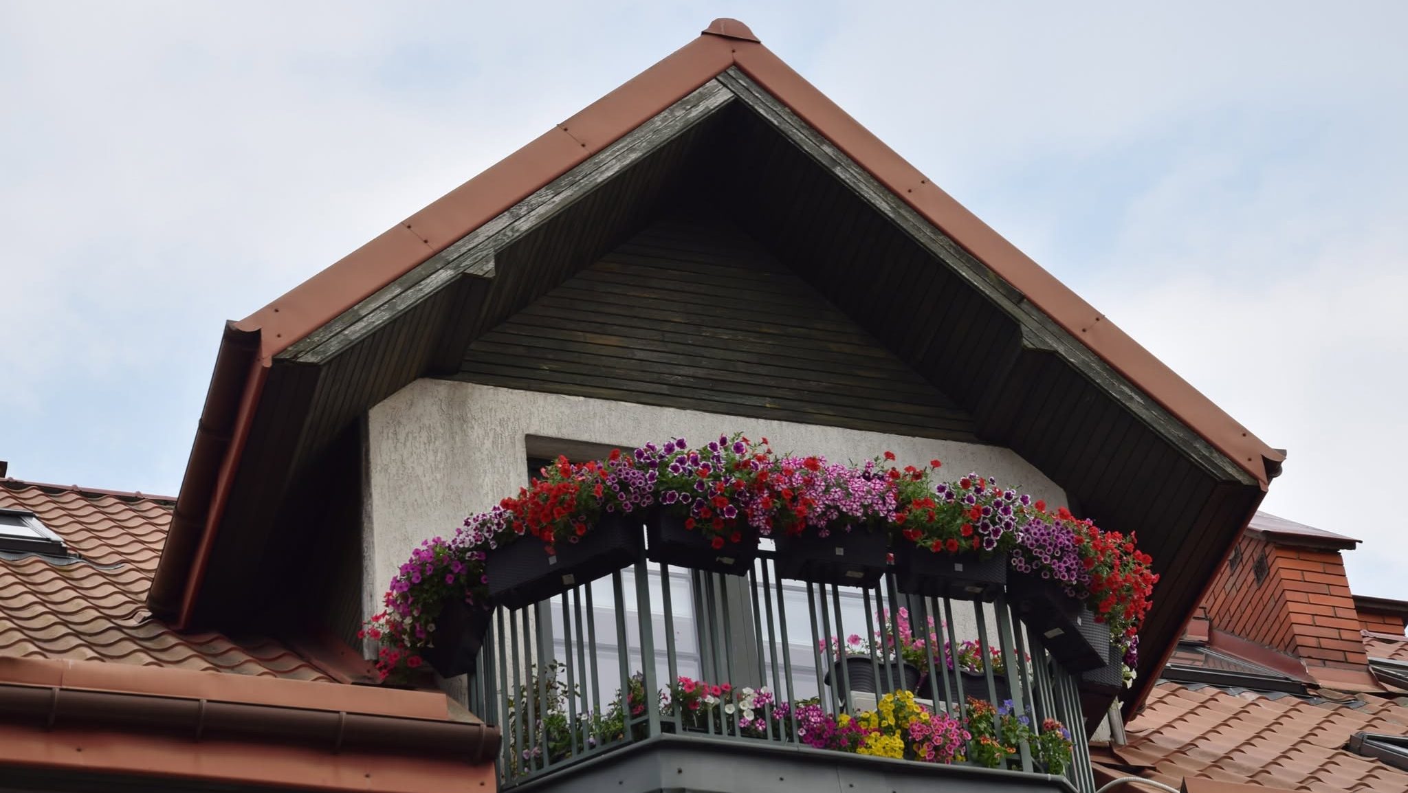 Najpiękniejsze ogrody i kwieciste balkony w Suwałkach 16 laureaci 8 e1785151083832