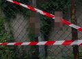 miensco 1
