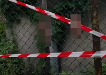 Wieprzowe ozory na ogrodzeniu - pokazują problem nielegalnej migracji 6 miensco 1