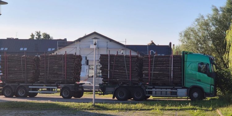 Skrajna nieodpowiedzialność na drodze. Wpadł pijany kierowca ciężarówki przewożącej drewno 1 zdj. KWP w Olsztynie