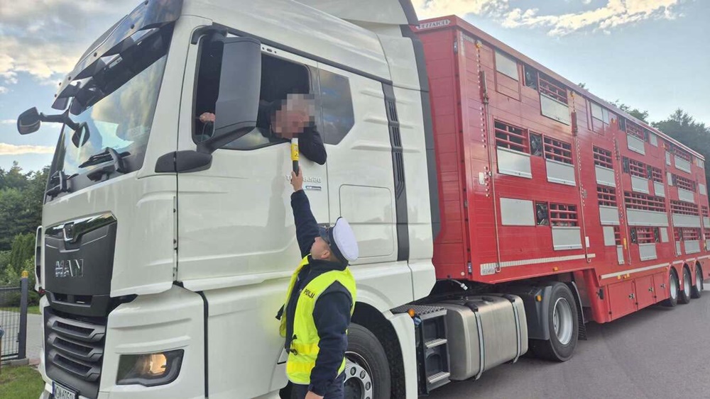 Skrajna nieodpowiedzialność na drodze. Wpadł pijany kierowca ciężarówki przewożącej drewno 2 zdj. KWP w Olsztynie 2 1