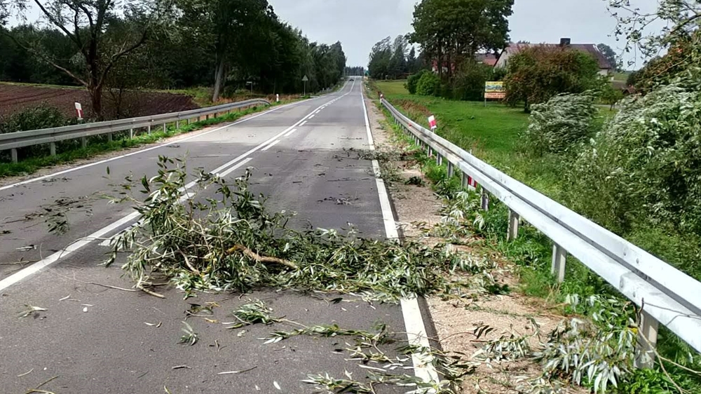 Uszkodzone dachy i polamane drzewa – strazacy usuwali skutki wichury 2