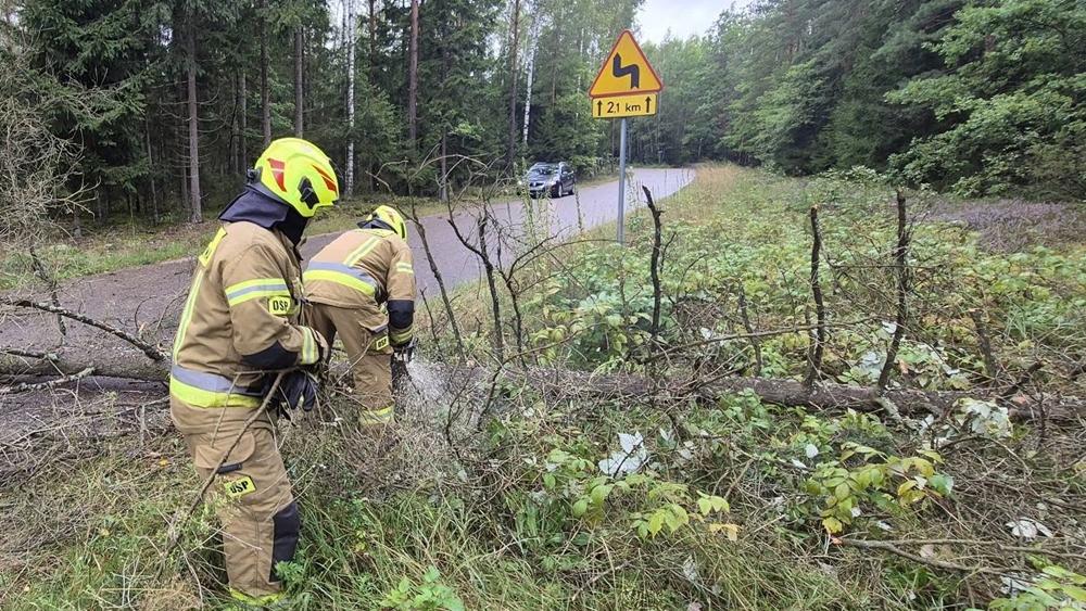 Uszkodzone dachy i połamane drzewa – strażacy usuwali skutki wichury 6 Uszkodzone dachy i polamane drzewa – strazacy usuwali skutki wichury 1