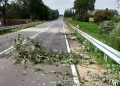Uszkodzone dachy i polamane drzewa – strazacy usuwali skutki wichury 2