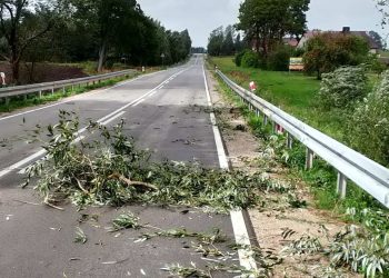 Uszkodzone dachy i polamane drzewa – strazacy usuwali skutki wichury 2