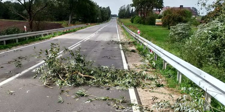 Uszkodzone dachy i połamane drzewa – strażacy usuwali skutki wichury 1 Uszkodzone dachy i polamane drzewa – strazacy usuwali skutki wichury 2