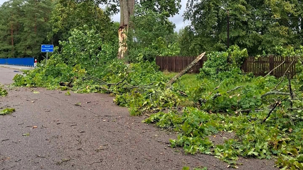 Uszkodzone dachy i połamane drzewa – strażacy usuwali skutki wichury 3 Uszkodzone dachy i polamane drzewa – strazacy usuwali skutki wichury 5