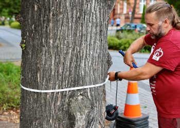 zdj. Urząd Miasta Ełku