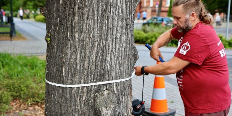 zdj. Urząd Miasta Ełku