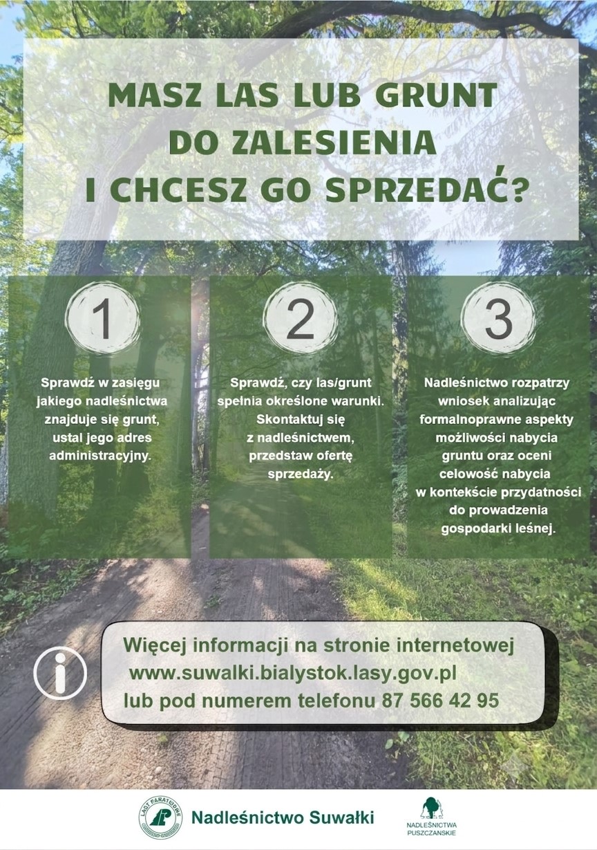 Nadleśnictwo Suwałki kupi lasy i grunty do zalesień 2 plakat z ogloszeniem.jpg
