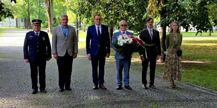 Źródło: UM Suwałki