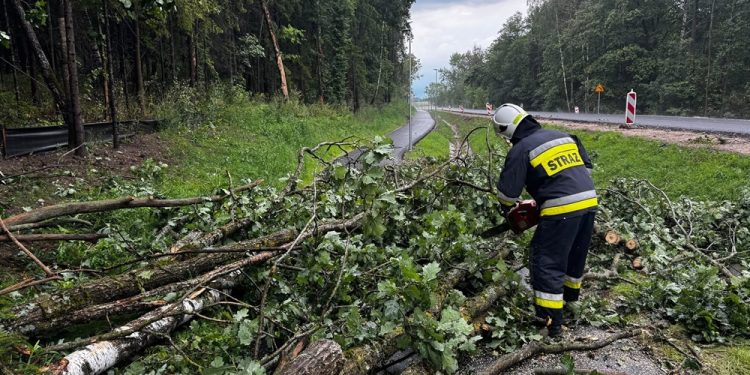Powiat ełcki z największą liczbą interwencji po burzach 1 Fot. FB: KW PSP Olsztyn