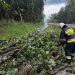 Powiat ełcki z największą liczbą interwencji po burzach 10 Fot. FB: KW PSP Olsztyn