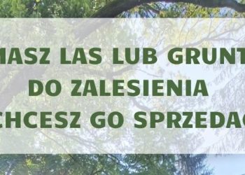 Nadleśnictwo Suwałki kupi lasy i grunty do zalesień 3 wyr