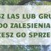 Nadleśnictwo Suwałki kupi lasy i grunty do zalesień 11 wyr