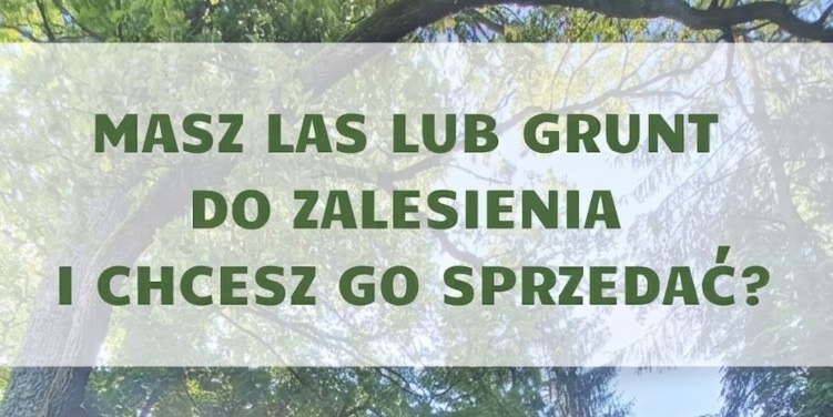 Nadleśnictwo Suwałki kupi lasy i grunty do zalesień 1 wyr
