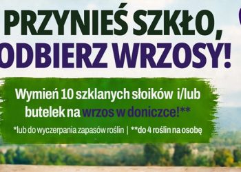 wyrt2