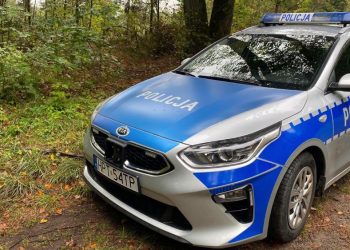 Poszukiwania 77-latka lesie. Policjanci przypominają zasady bezpiecznej wyprawy 2 zdj. KPP w Węgorzewie