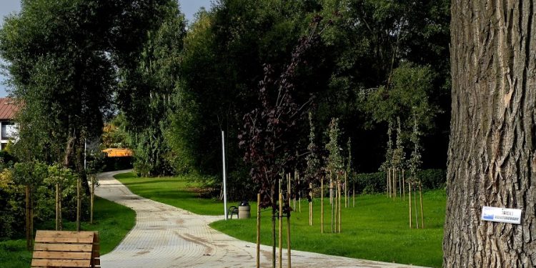 Zakończyła się budowa parku pomiędzy ul. Grunwaldzką, Jagiełły i Traktorzystów 1 33 1